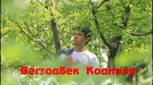 Бегзодбек  Кодиров  Гилос  Begzodbek Qodirov Gilos