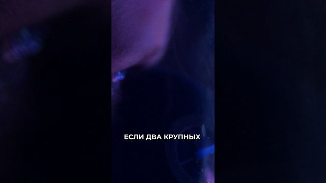 📍Космическая угроза: как земная орбита может пострадать из-за мусора #новости #рек