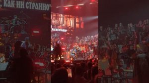 Симфоническое шоу «Панк-Сказка Король и Шут» - Ели мясо мужики (live 20.04.2024 Москва)