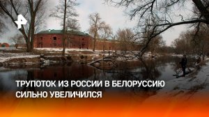 Приятно удивит: из Россию в Белоруссию едет огромный поток туристов