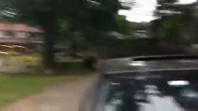 My car sunroof EXPLODED while I was driving! смотреть онлайн