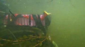 ✅ На ЭлектроВелосипеде под водой! ⚡ Выдержит или замкнет? 💥 Езда по дну озера КРЕОСАН!!!