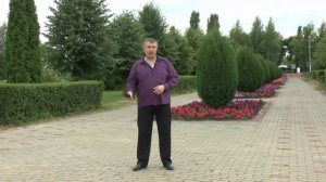 ВЛАДИМИР СТРЕЛЬНИКОВ - ЧТО Ж ТЫ ЛЕТО (кавер Константин Пахомов)