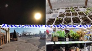 СРОЧНО СПАСАЮ ПОКА НЕ ПОЗДНО, ФИКС ПРАЙС, ГРИБНОЙ СУПИК, Парад планет