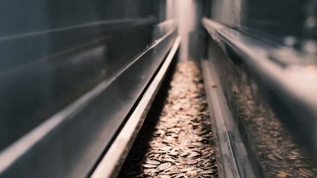 Автоматическая линия по солению и обжарке EKO 1500 2023 смотреть онлайн