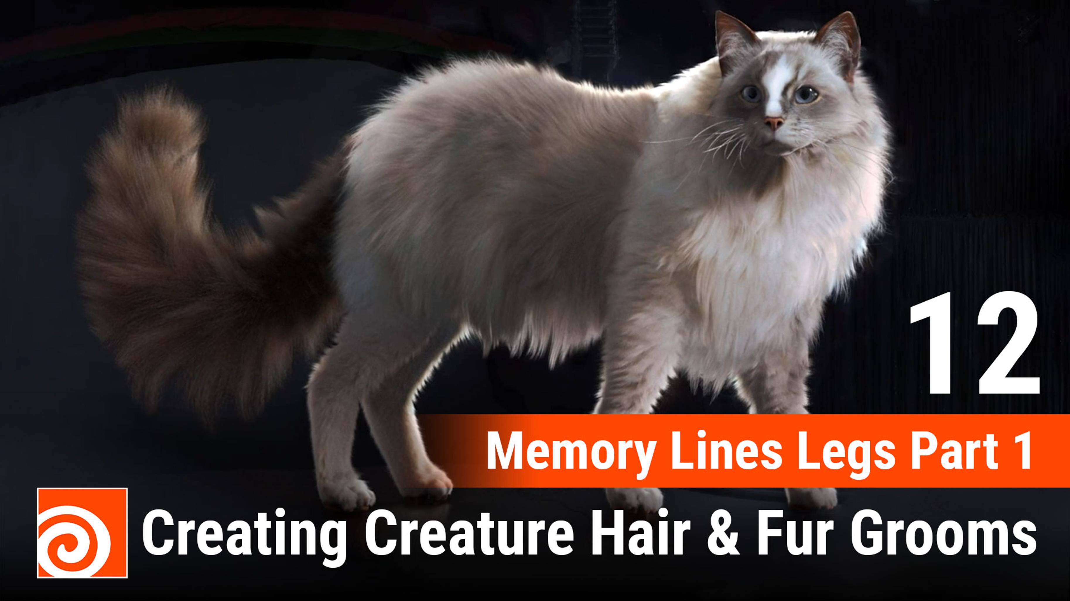 Creating Creature Hair & Fur Grooms in Houdini
12 Memory Lines Legs Part 1