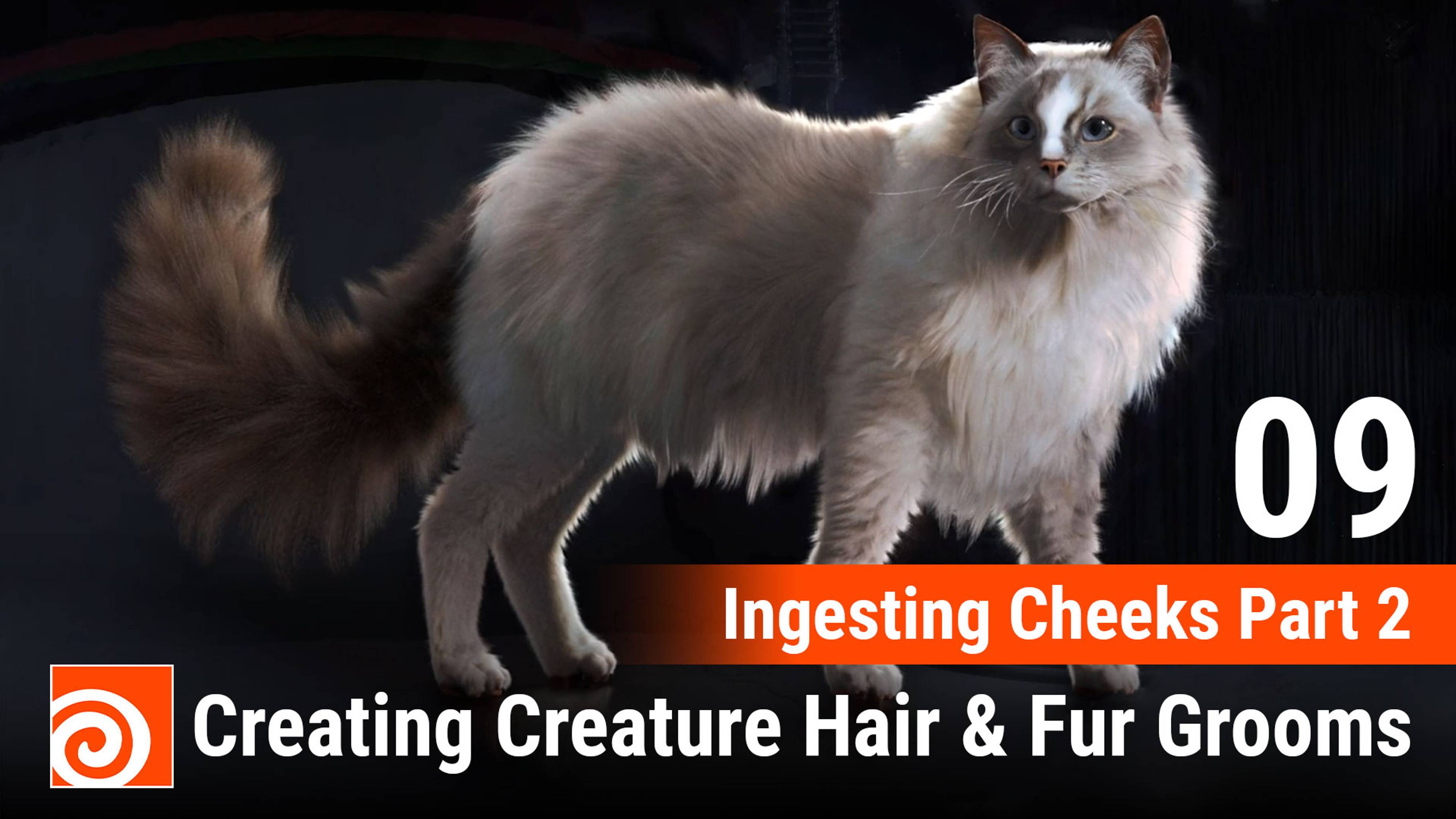 Creating Creature Hair & Fur Grooms in Houdini
09 Ingesting Cheeks Part 2