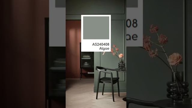 Avium - лучшая Российская краска. Капсула Water drive дизайнин