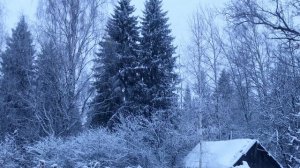 Зима в деревне ❄️