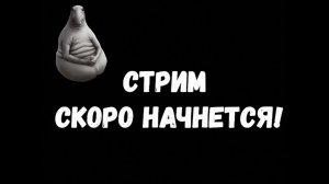 Первый стрим после праздников #МирКораблей #РанговыеБои