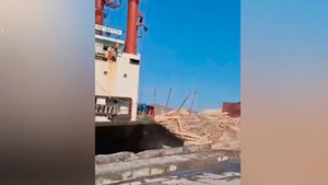 Около тысячи кубометров лесоматериалов упало в море с грузового судна в Приморском крае
