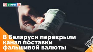 В Беларуси перекрыли международный канал поставки поддельных денег