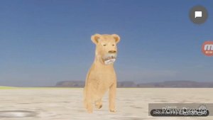 Львумба наоборот (анимация)