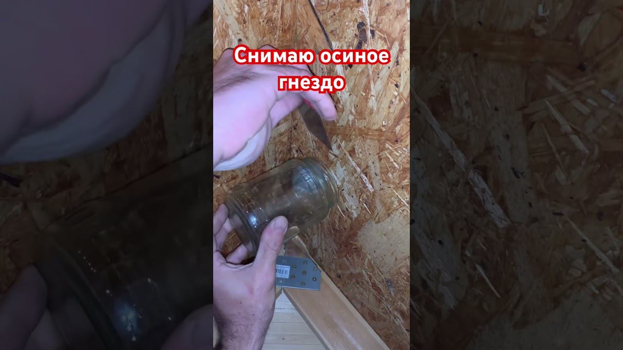 Как избавиться от ос смотреть онлайн