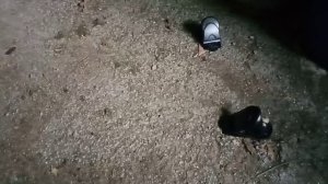 ТОП 5 насадок на мышей.