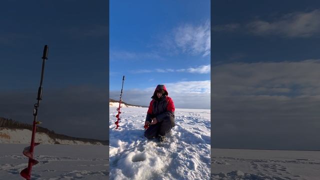 Ловлю берша смотреть онлайн