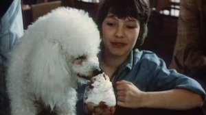 Посторонним вход разрешен (1986)