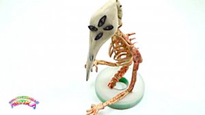 ИНОПЛАНЕТЯНИН  - Тревора Хендерсона