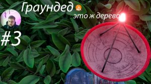 Grounded ▶ Запутанная изгородь # 3