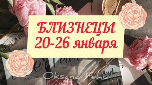 близнцы 20-26 января