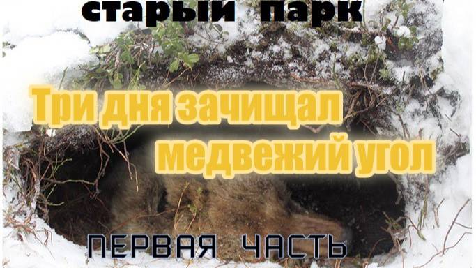 ТРИ ДНЯ ЗАЧИЩАЛ МЕДВЕЖИЙ УГОЛ. Часть первая смотреть онлайн