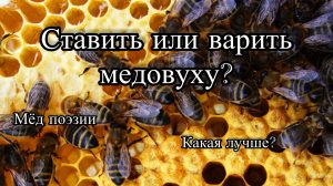 Вареная или Ставленная медовуха?