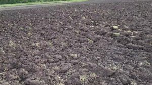 Когда пахать пары? Осенью или Весной .Мой опыт.