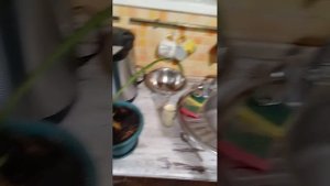 Еврохим удобрение. Контроль 5 дней спустя. Комнатный цветок.