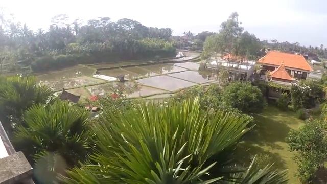 Yoga Retreat In Ubud, Bali