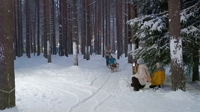 РУССКАЯ ПЕЧЬ, ОЛЕНИ, СОБАКИ!!! Увлекательные развлечения для детей на Вотчине Деда Мороза!