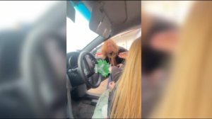как одна автомобилистка избила другую при ребенке