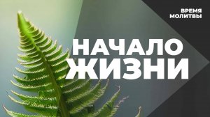 Начало жизни   | Время молитвы