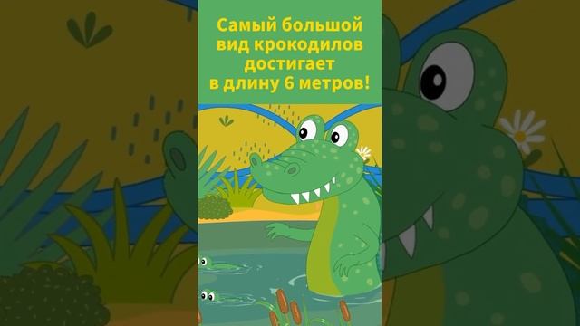 Необычные факты о крокодилах!#факты #дети #животные