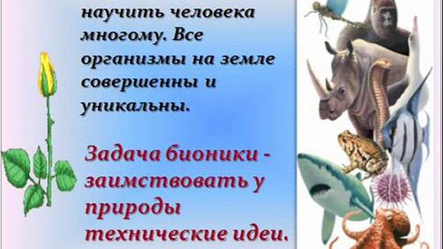 ЧТО ТАКОЕ БИОНИКА