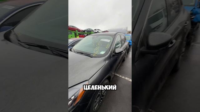 Работаем каждый день Lemon Auto