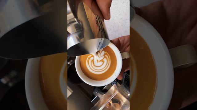 Tulip swan - looking nicer and nicer #coffee #baristalife #latteart #tulipwsan смотреть онлайн