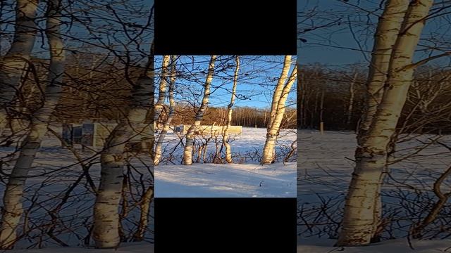 Зимушка Зима 🌲🌟🌲🌟🌈