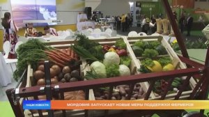 Мордовия запускает новые меры поддержки фермеров