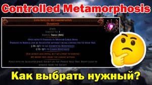 Как выбрать правильный Controlled Metamorphosis Diamond Jewel под свой билд? ► Path Of Exile 2