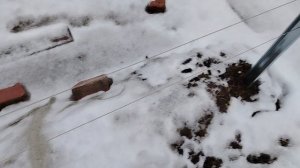 Зима на винограднике
