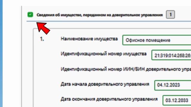 ч.2 Как заполнить и подать Декларацию об активах и обязательствах по форме 250 .00