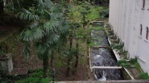 ТЕРМАЛЬНЫЕ ИСТОЧНИКИ ТУРЦИИ В ЯЛОВЕ - поездка на один день