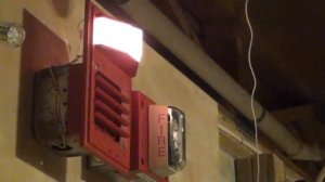 System Test 25:  The Rare Stuff