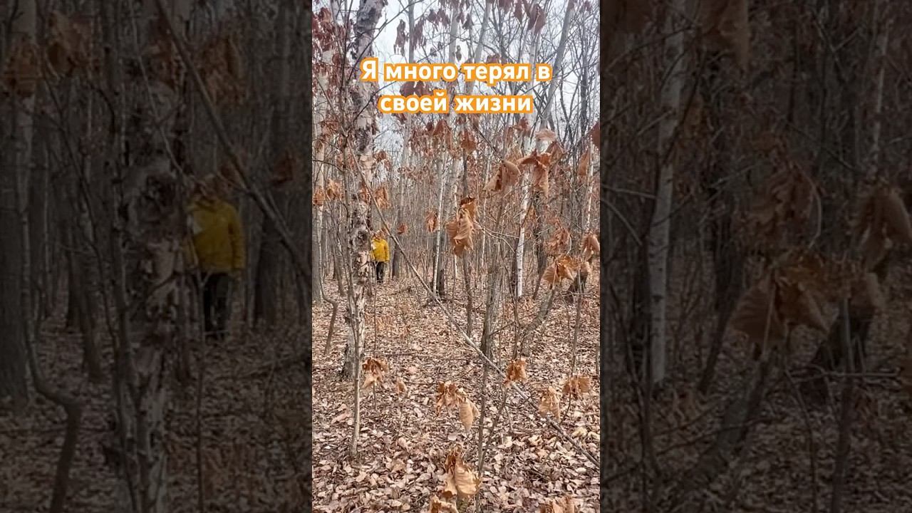 Позитивное мышление и цитаты #мысли #цитаты #высказывания