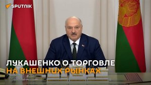 Лукашенко: Запад не хочет с сотрудничать с Беларусью в области экономики