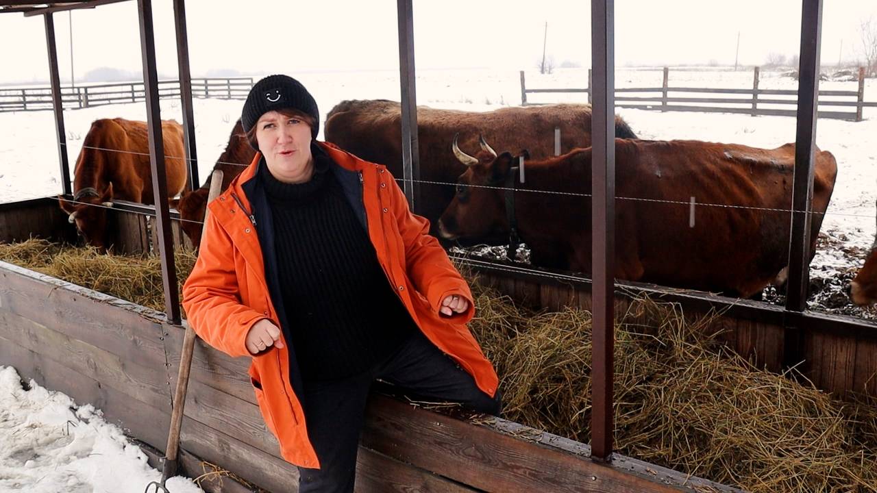 ⚠️ СРОЧНАЯ ПРОДАЖА! ЗА СМЕШНЫЕ ДЕНЬГИ! смотреть онлайн