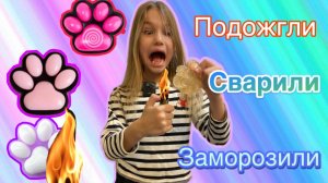 ОПАСНЫЕ ЭКСПЕРЕМЕНТЫ НАД ТАБА ЛАПКОЙ!