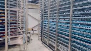 Автоматизации конвейерными системами и кулерами охлаждения завода по производству хлебов. Технопул-Р