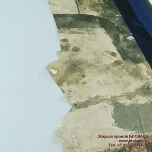 Бесшовная кровля Блокада