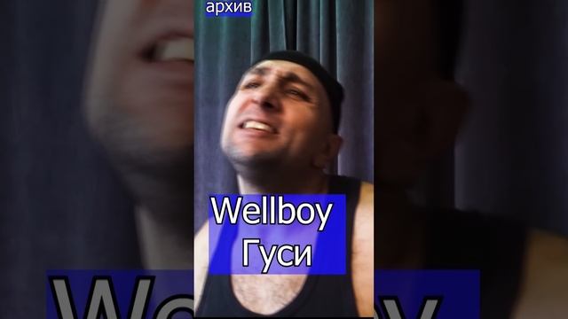 Wellboy  Гуси Клондайс кавер из архива